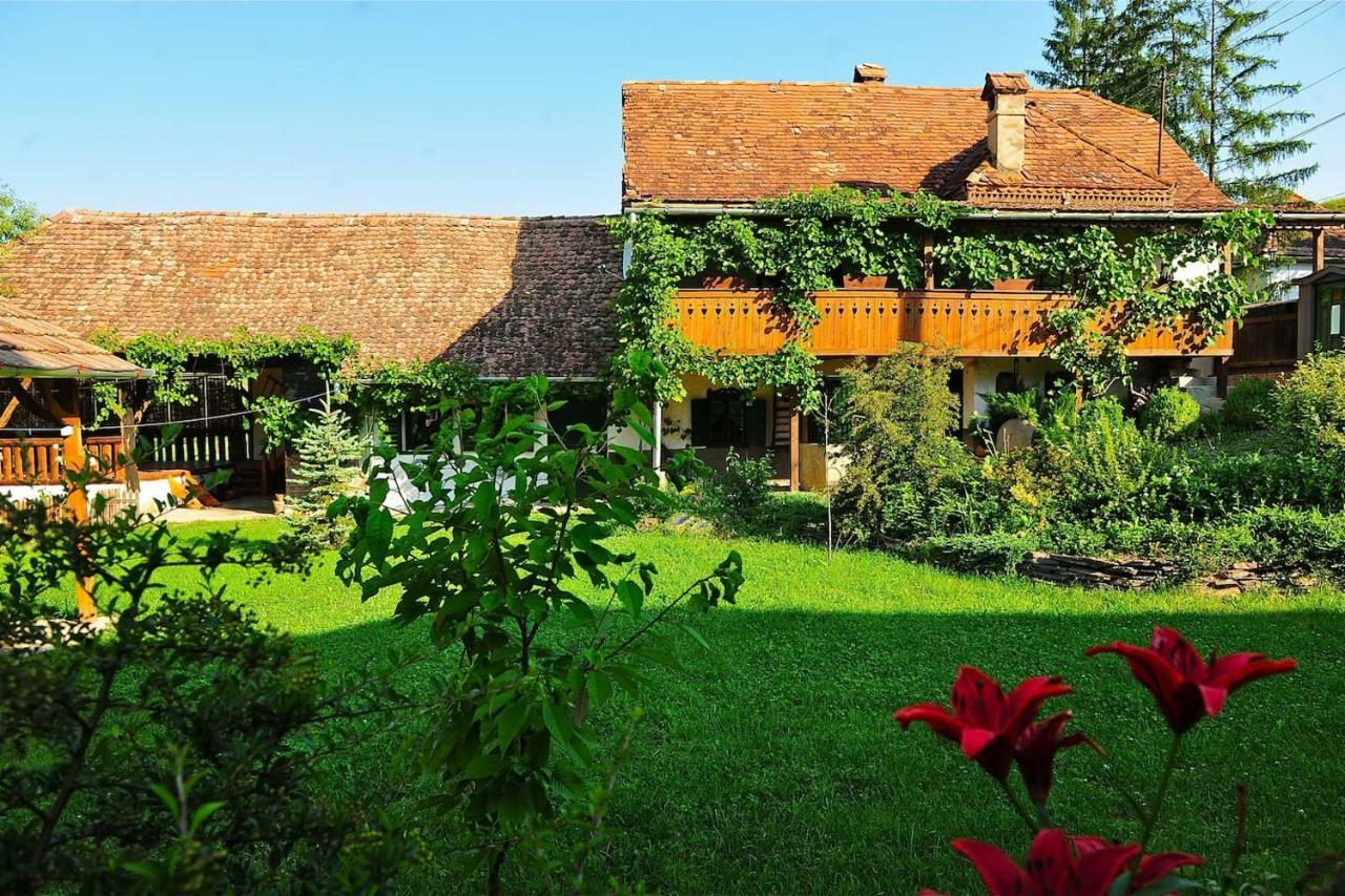 Transylvanian Country House Vetca Екстер'єр фото