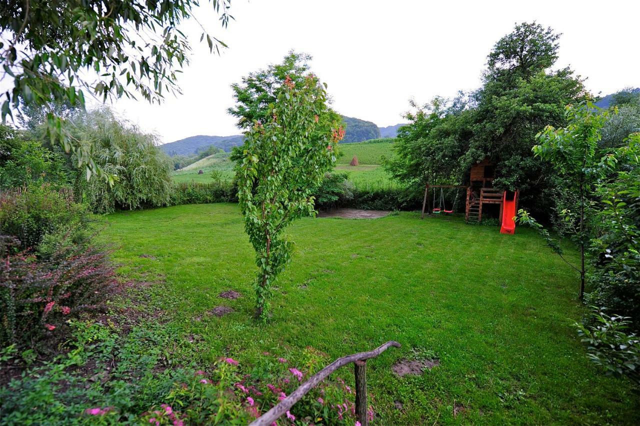 Transylvanian Country House Vetca Екстер'єр фото